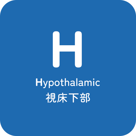 視床下部 Hypothalamic